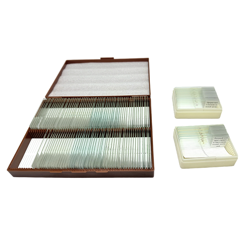 Kit de educação de biologia de lâmina de microscópio, natureza de biologia