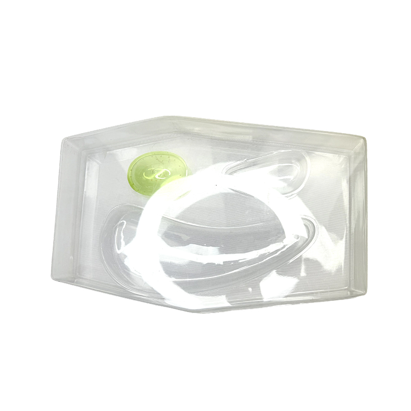 Modelo de estrutura celular vegetal para ensino de biologia