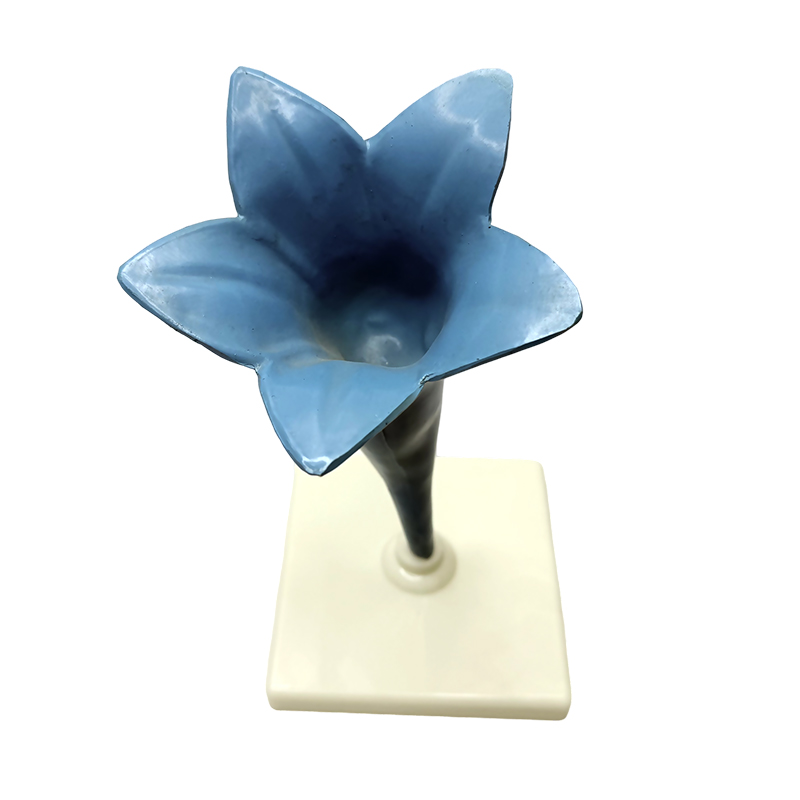 Escola ensinando modelo de flor perfumada yujin