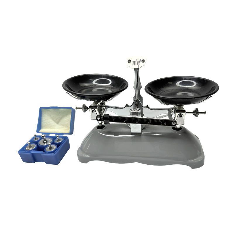 Balança de pesagem manual 100g, contador de laboratório de alta precisão, equipamento de ensino de física