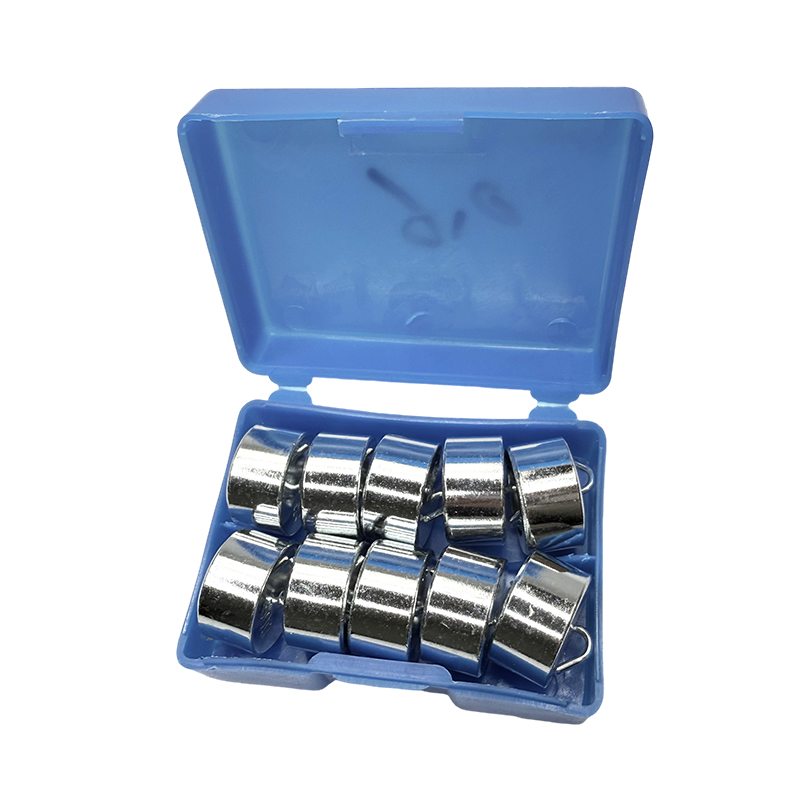 Conjunto de peso educacional com gancho, 50g x 10 peças/instrumento de laboratório de física escolar, experimento científico e kit de ensino